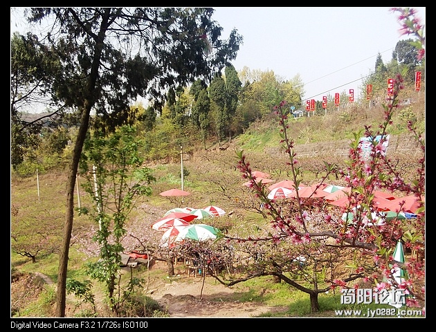 nEO_IMG_PHOT0129.jpg