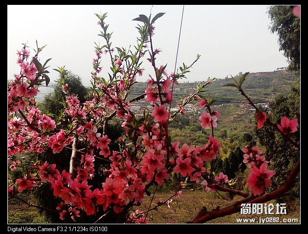 nEO_IMG_PHOT0130.jpg
