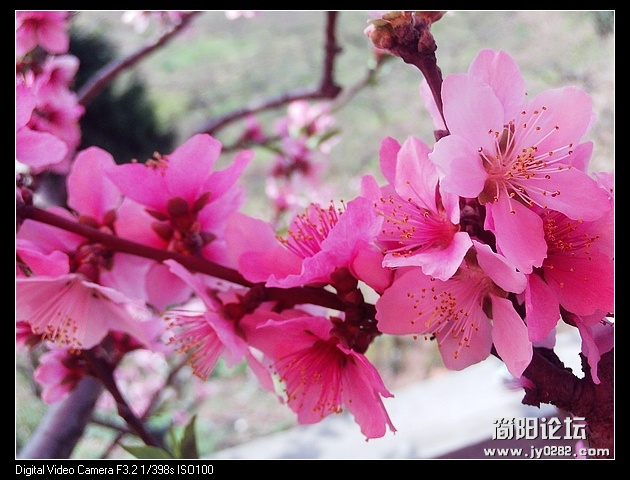 nEO_IMG_PHOT0132.jpg