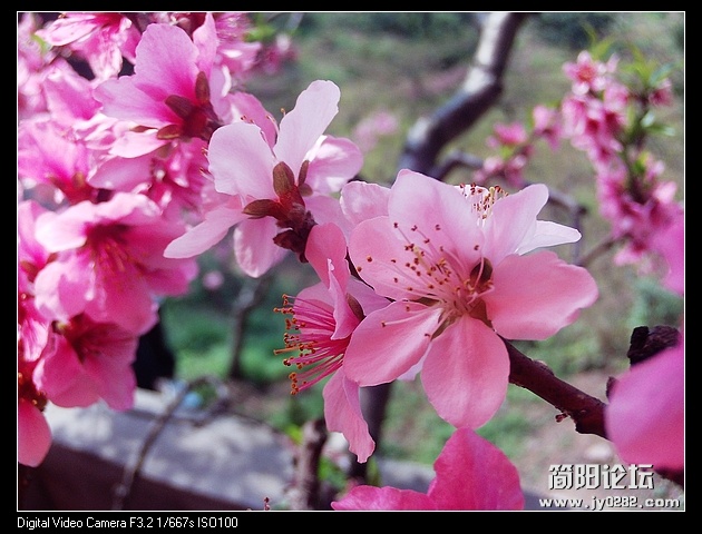 nEO_IMG_PHOT0133.jpg