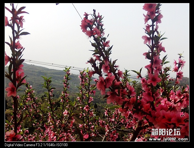 nEO_IMG_PHOT0135.jpg