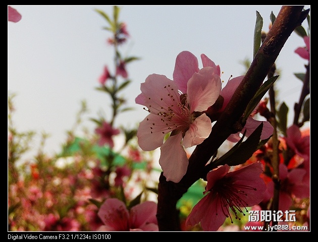 nEO_IMG_PHOT0140.jpg