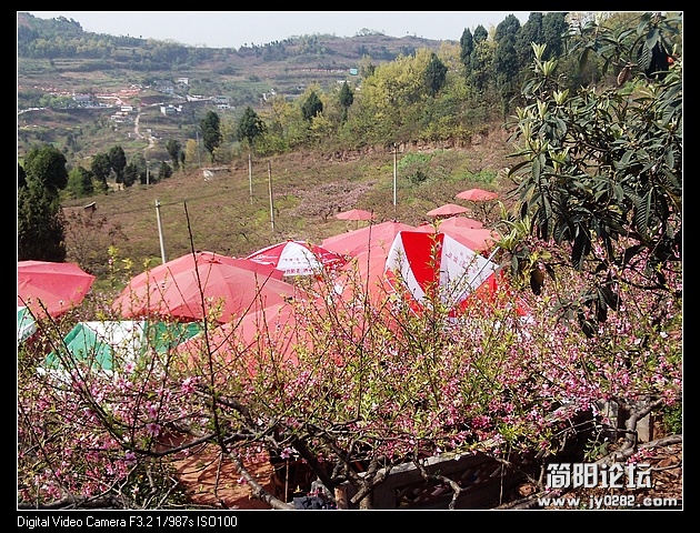 nEO_IMG_PHOT0142.jpg