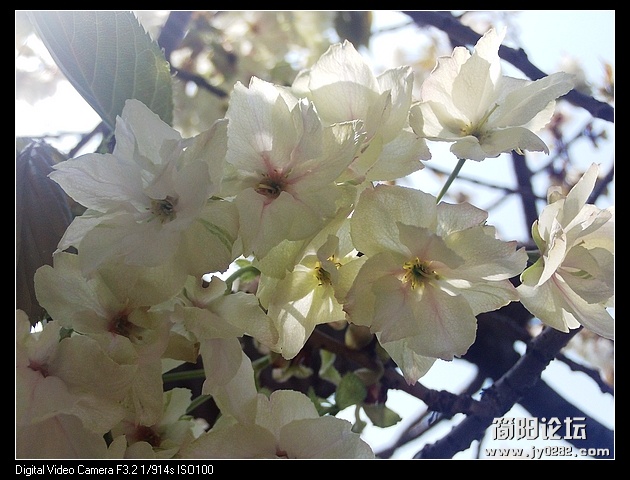 nEO_IMG_PHOT0146.jpg
