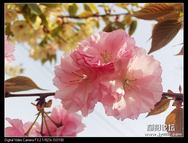 nEO_IMG_PHOT0147.jpg