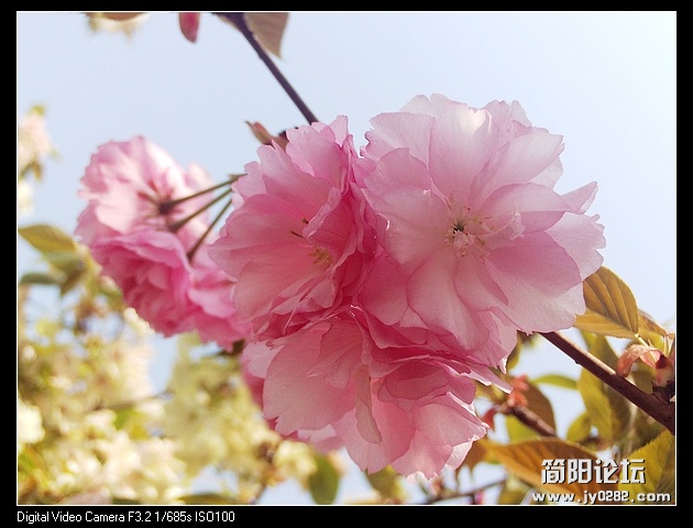 nEO_IMG_PHOT0148.jpg