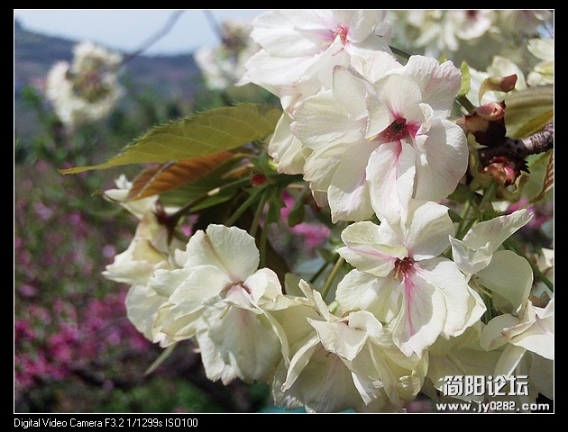 nEO_IMG_PHOT0149.jpg