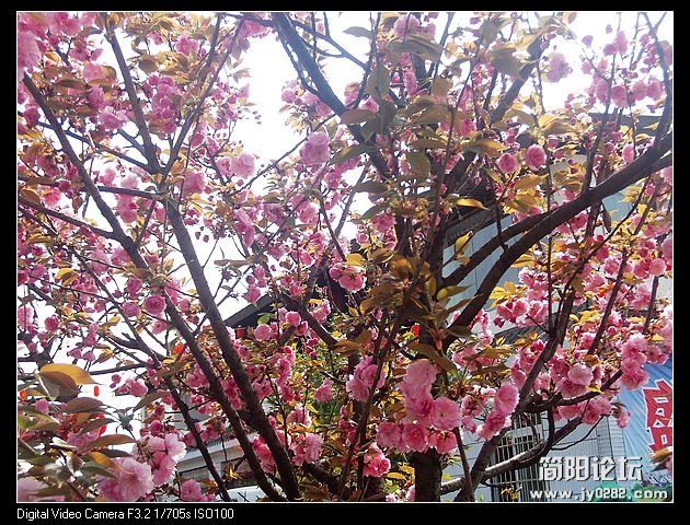 nEO_IMG_PHOT0151.jpg