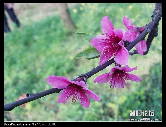 nEO_IMG_PHOT0179.jpg