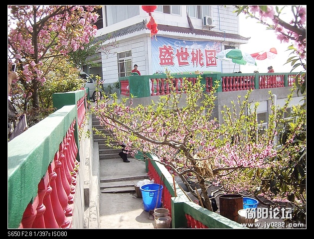 nEO_IMG_SANY3585.jpg