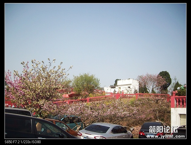 nEO_IMG_SANY3613.jpg