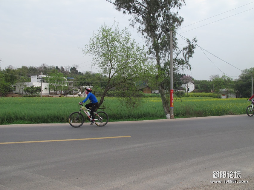IMG_1110_副本.jpg