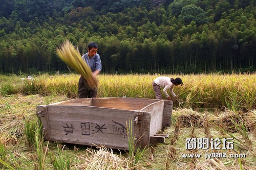 162313ttih9hhchc6jr86k_副本.jpg