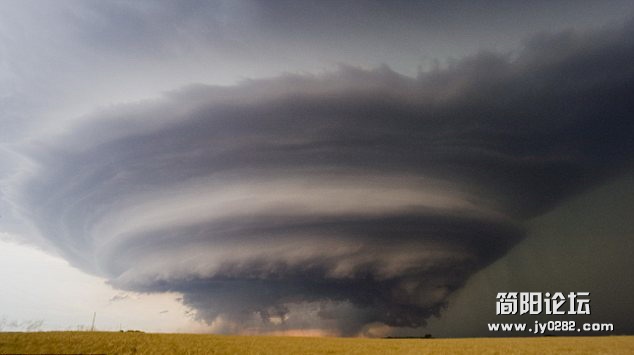 zeltq (4).jpg