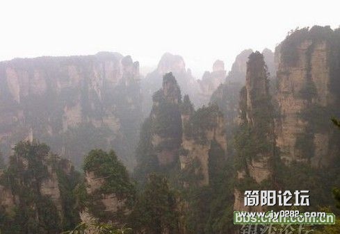 zjj (2).jpg