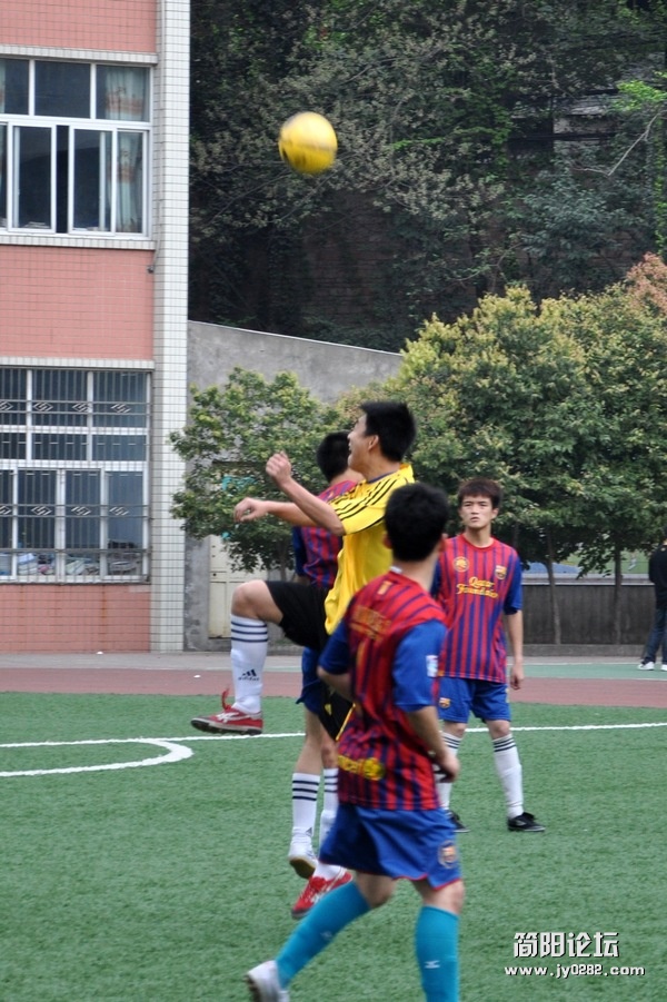 DSC_0167.jpg