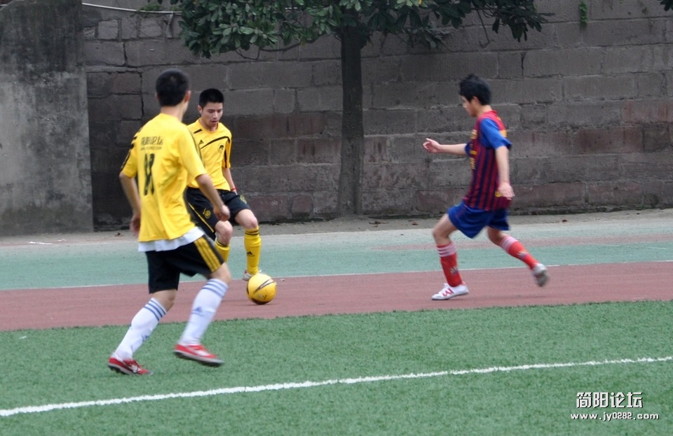 DSC_0184.jpg