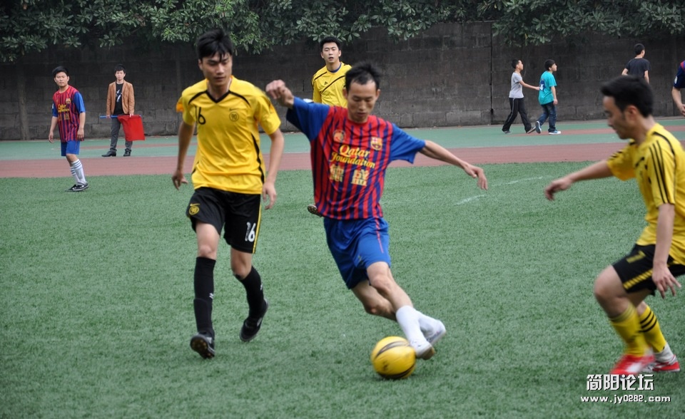 DSC_0203.jpg