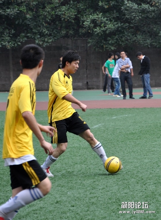 DSC_0225.jpg