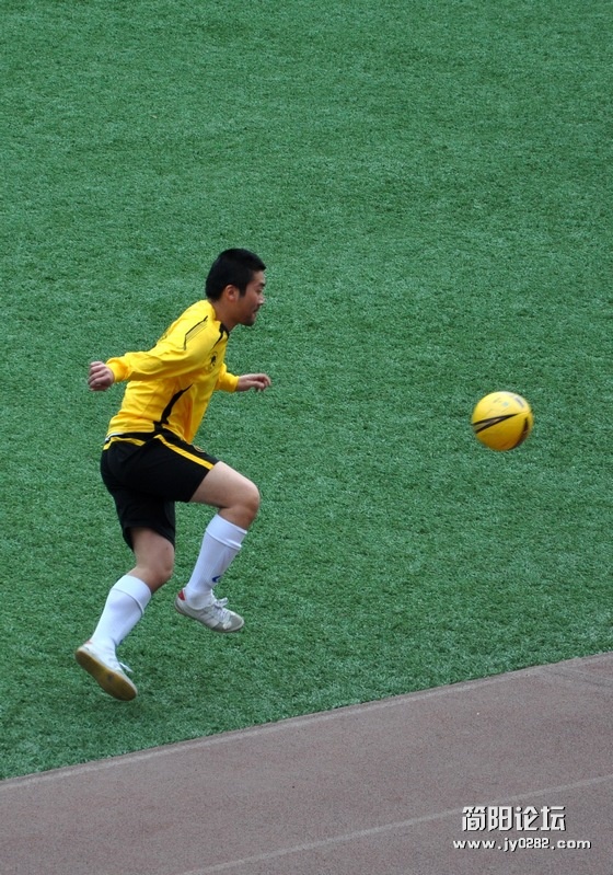 DSC_0237.jpg