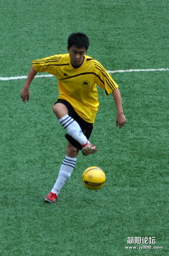 DSC_0241.jpg