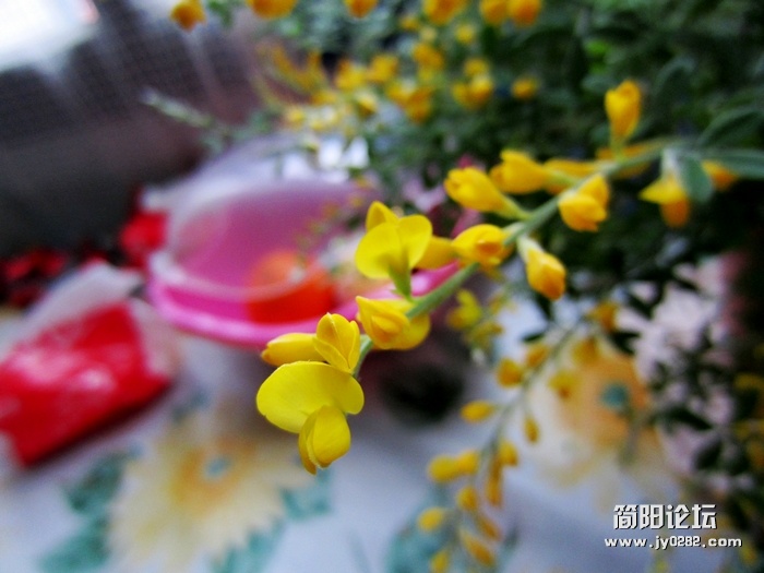 nEO_IMG_IMG_2010_conew1.jpg