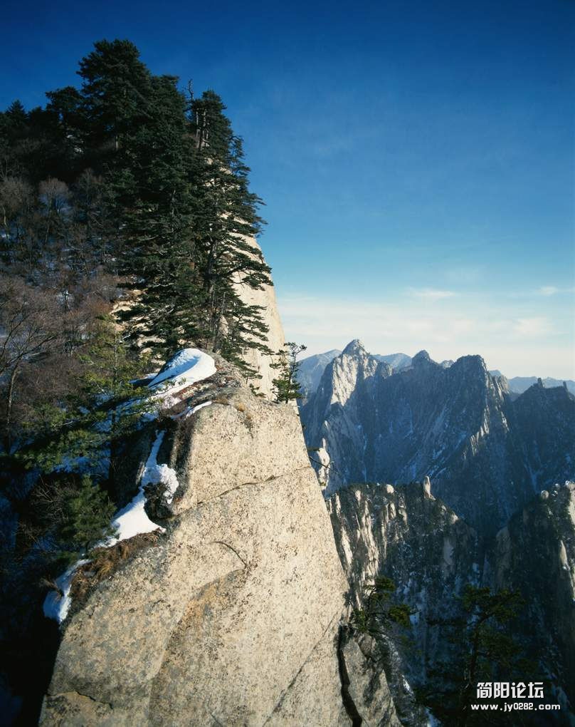 sj (10).jpg