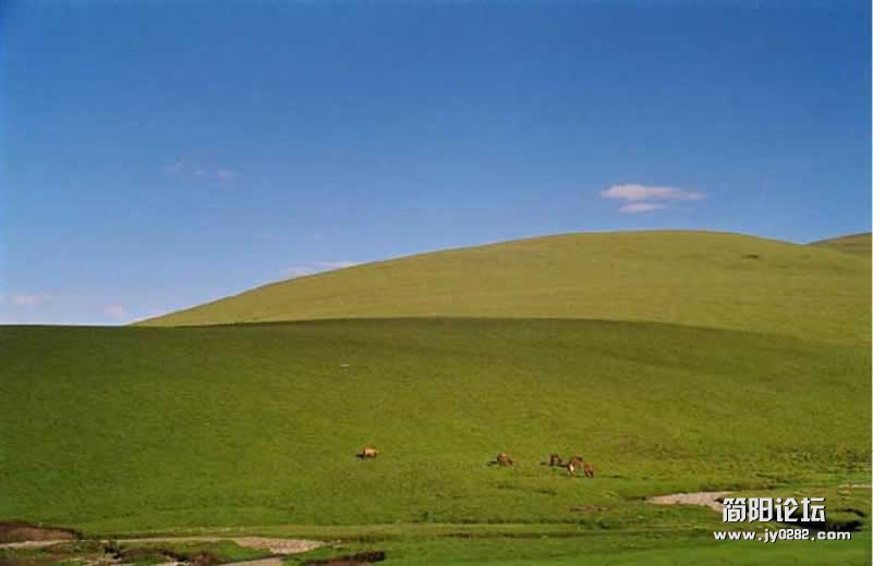 qh (14).jpg