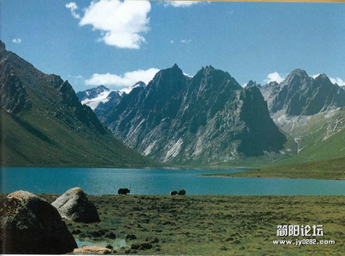 qh (23).jpg