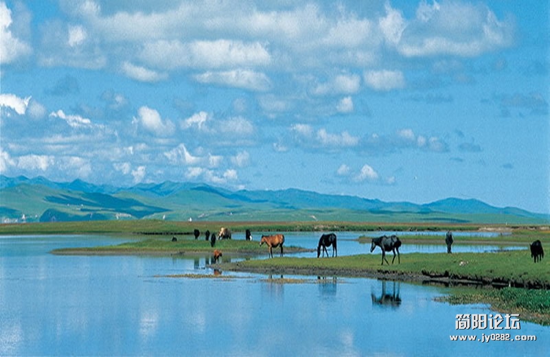 qh (25).jpg
