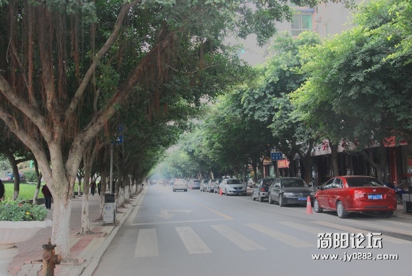 DSC_0460-小.jpg