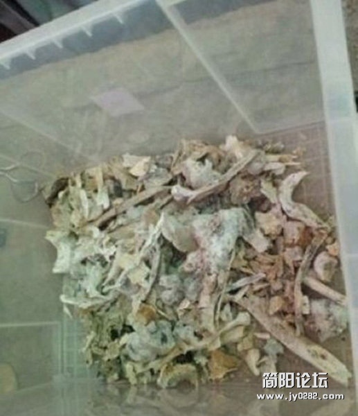 现场拣出的本焕长老灵骨。.jpg