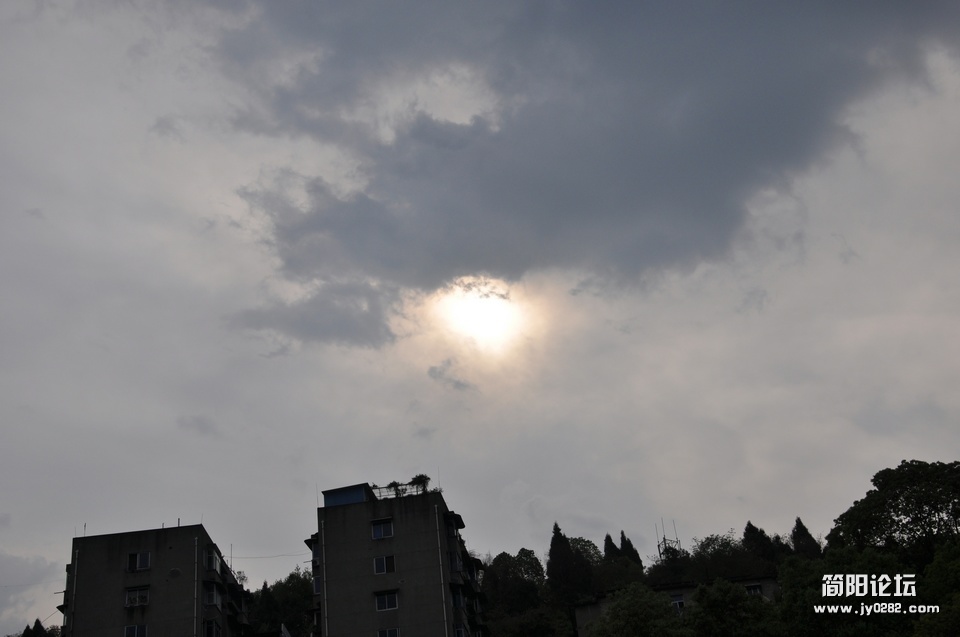 DSC_0200.jpg