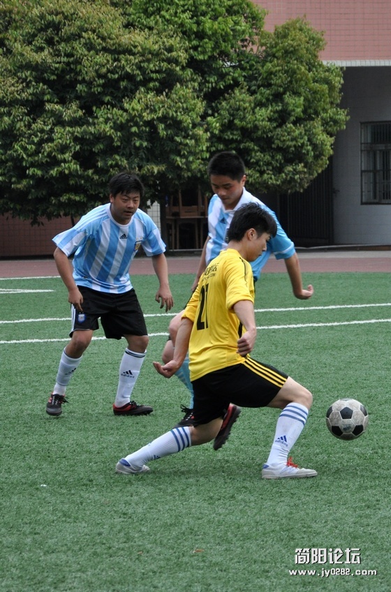DSC_0205.jpg