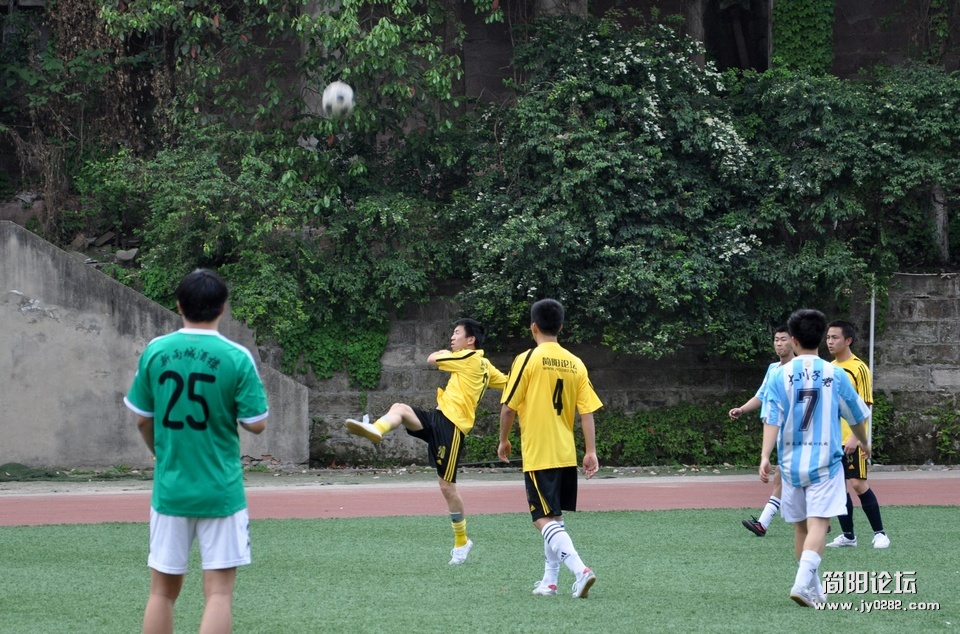 DSC_0223.jpg