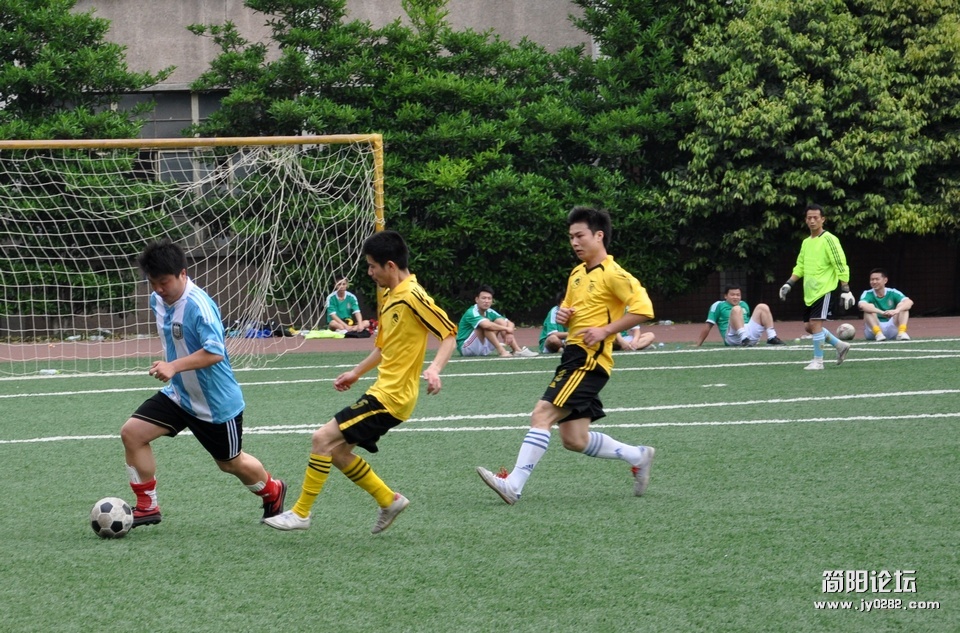 DSC_0253.jpg