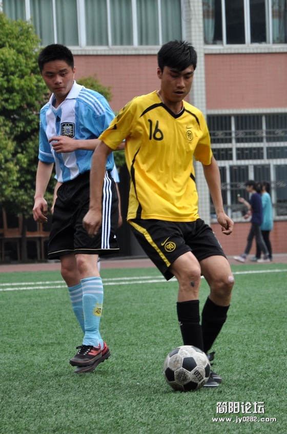 DSC_0247.jpg