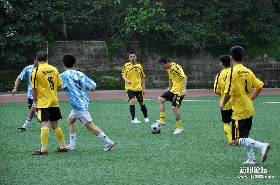 DSC_0255.jpg