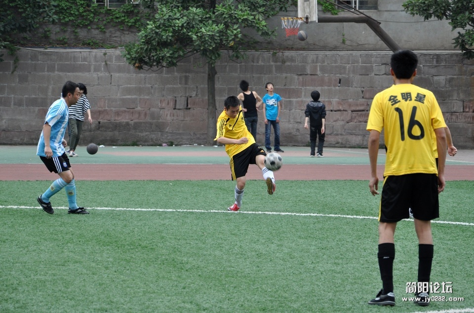DSC_0265.jpg