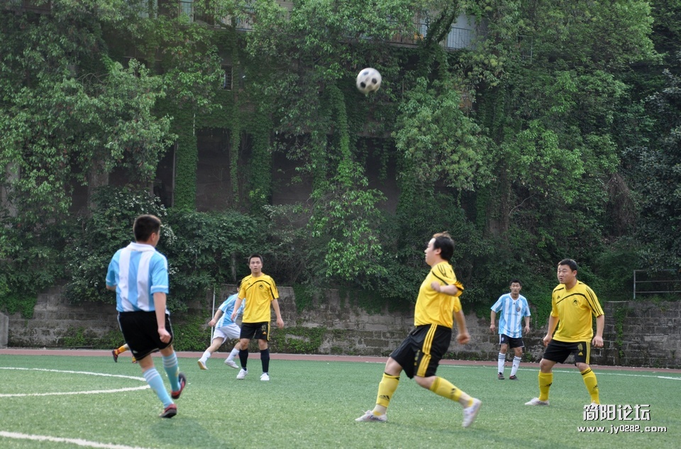 DSC_0312.jpg