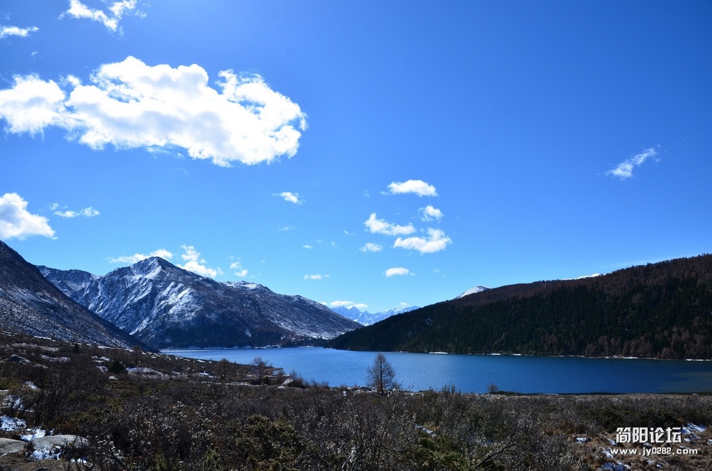 DSC_1358.jpg