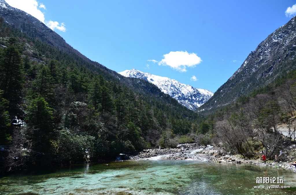 DSC_1441.jpg