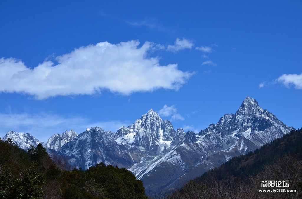 DSC_1458.jpg