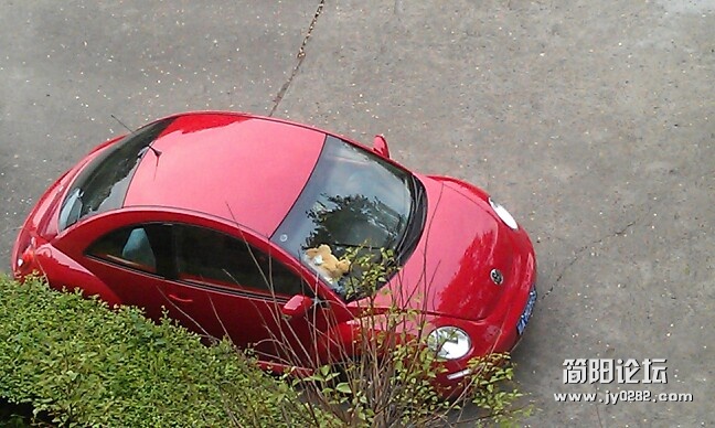 IMG20120419123447.jpg