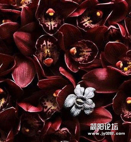 %%HDE)PO(0]XJJ__{4]8QVC.jpg