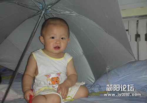 b219ebc4b74543a99d78106d1e178a82b901142b.jpg