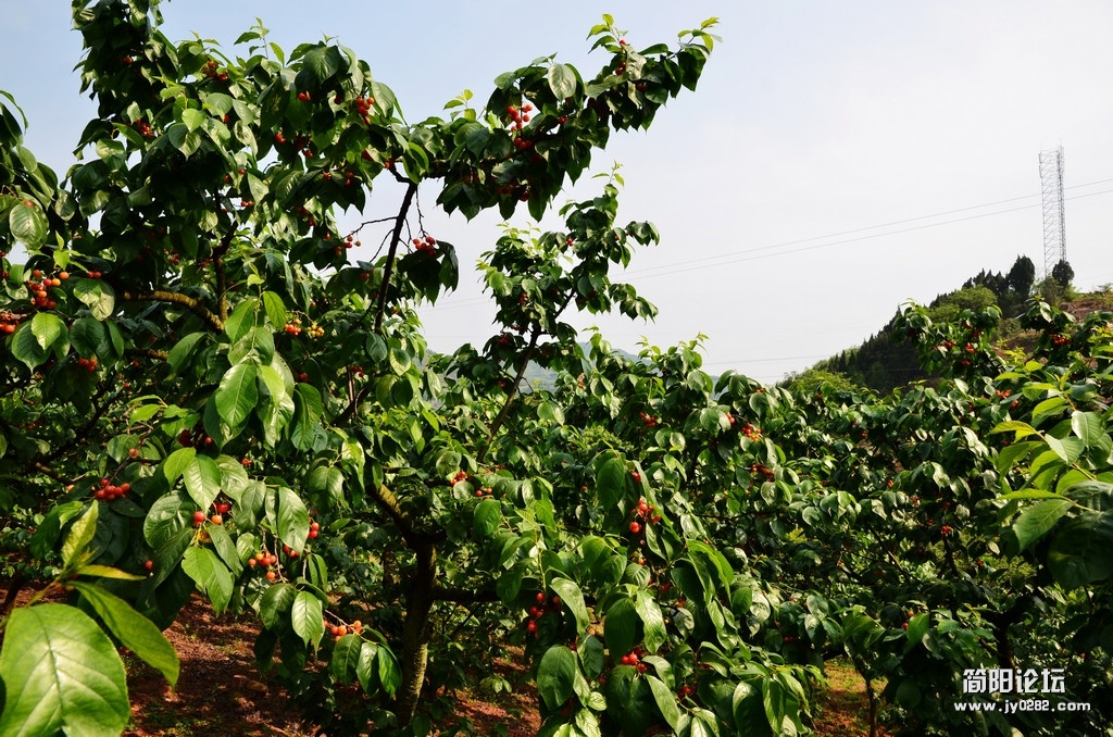 DSC_2677.jpg