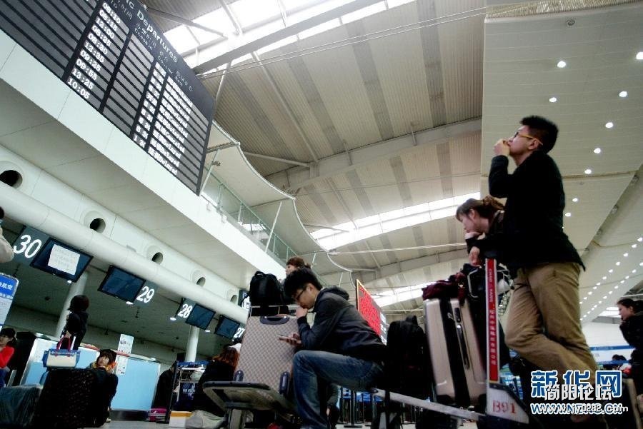 4月24日，滞留大连国际机场的旅客在候机楼查看航班动态。　　自4月23日20时起，受浓雾影响，大连周水子国际 ...