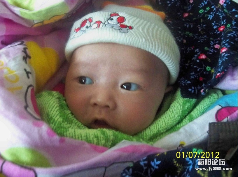 100_1803.jpg