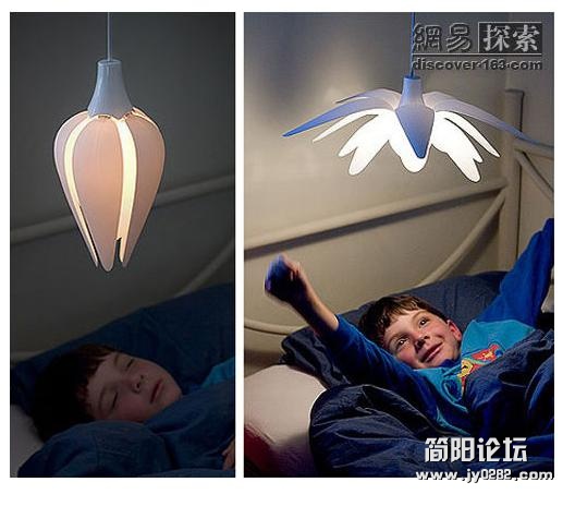 会开花的灯.JPG